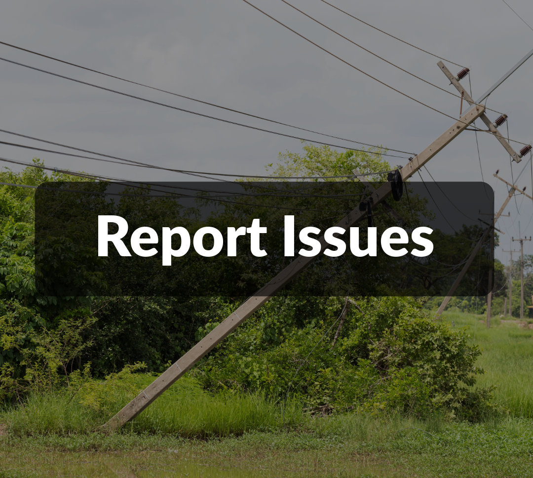 Report Issues
