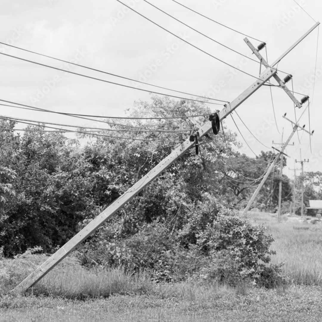 Fallen Utility Pole