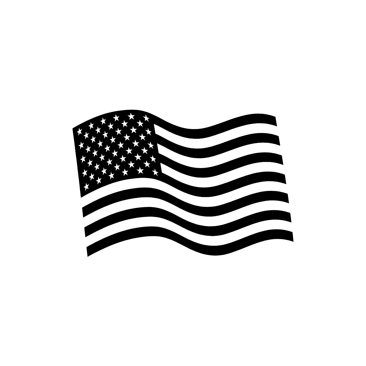 USA Flag Icon